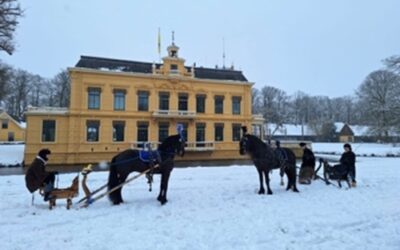 Arrensledes op Nienoord