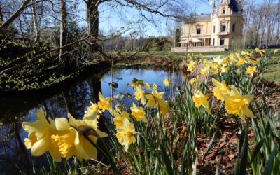 Museum Nienoord tijdens Paasdagen open!